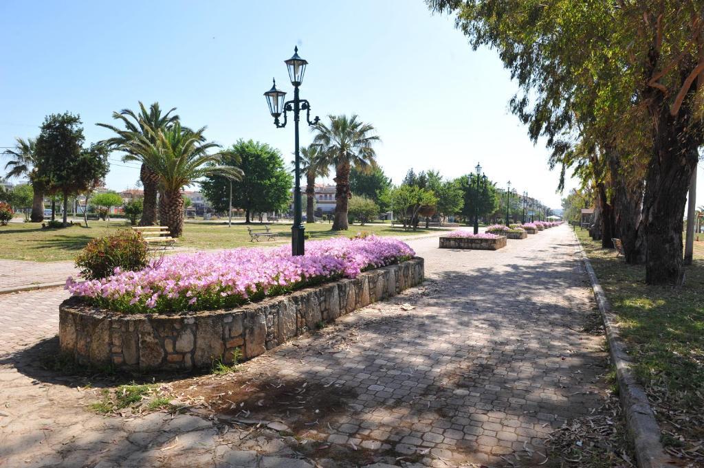 Apartments Dimitra Paralia Dionysiou Exteriér fotografie